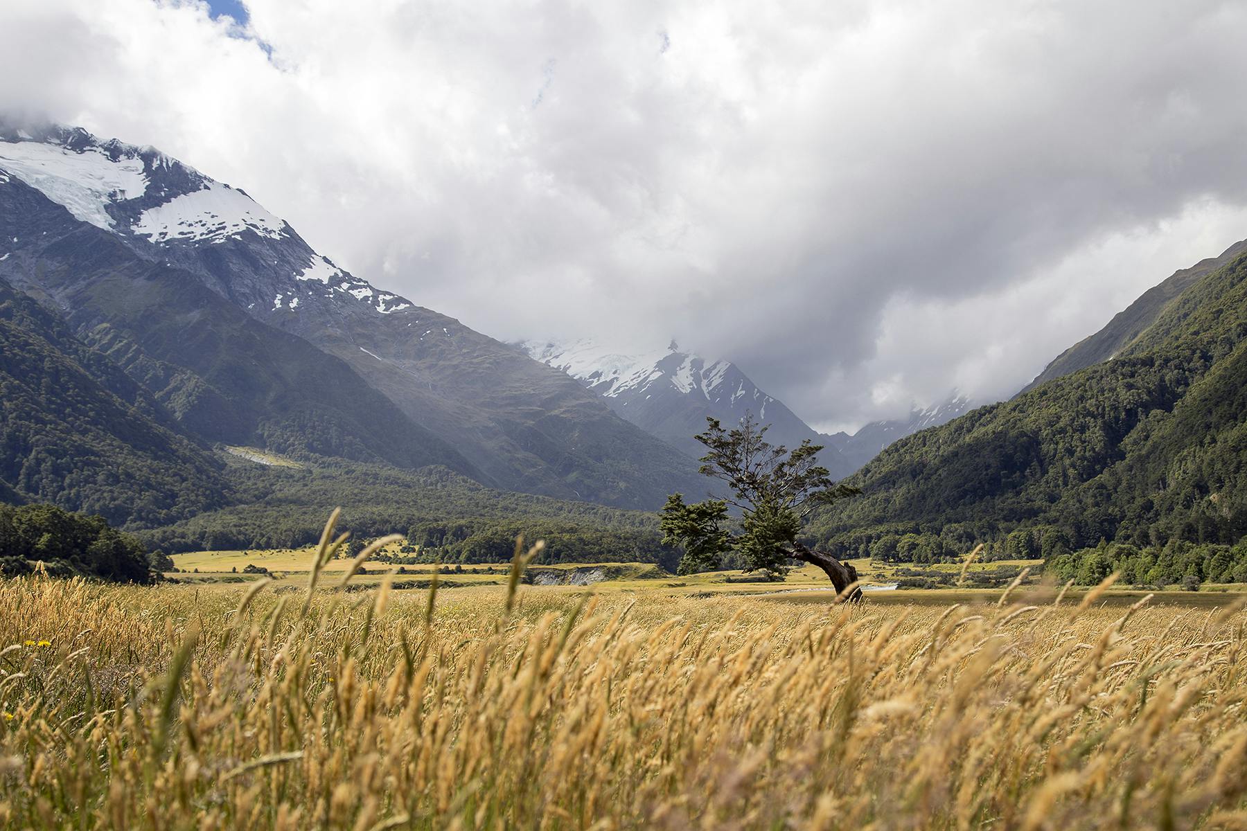 Mount Aspiring National Park