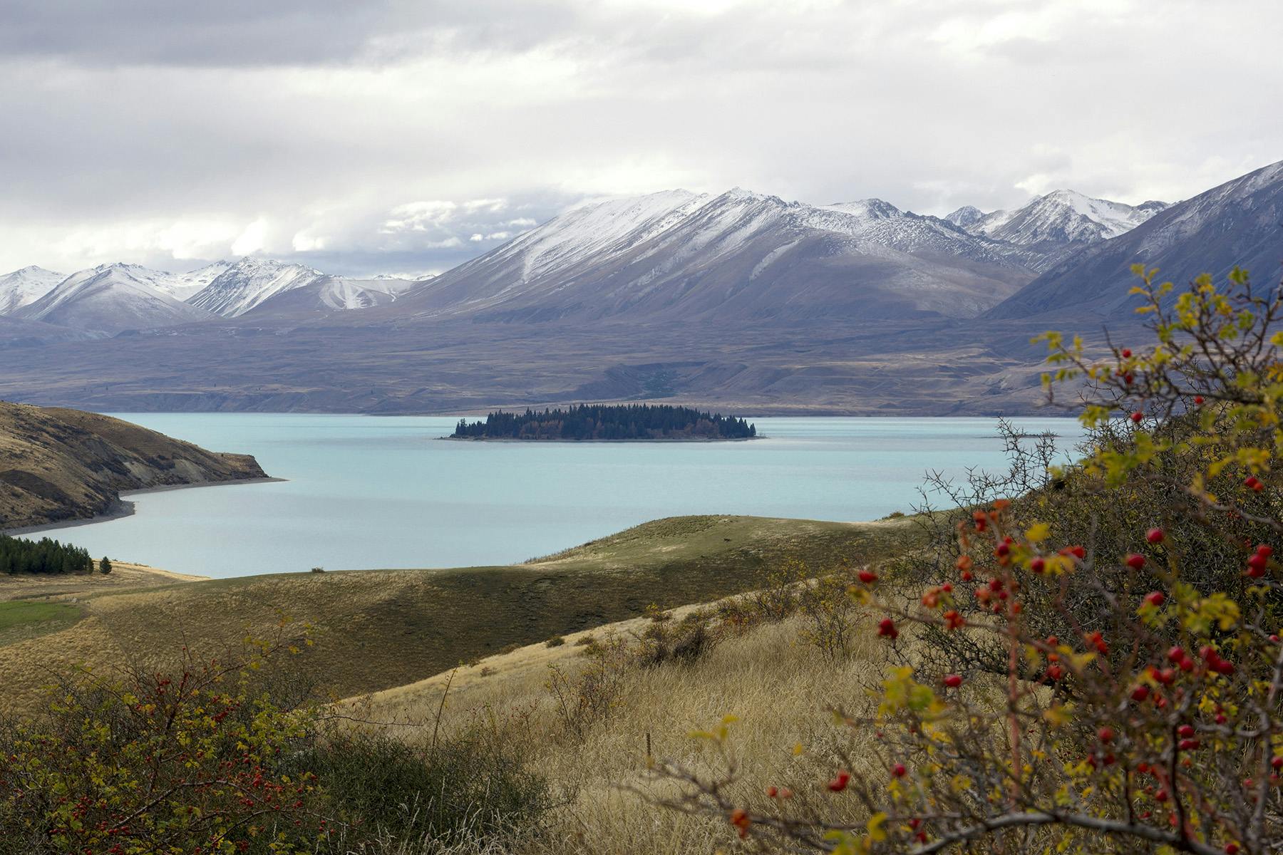 Tekapo